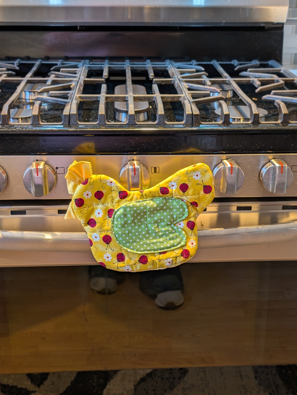 Handmade Chicken Ladybug Potholder